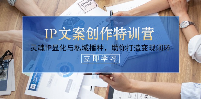 (14330期)IP文案创作特训营,灵魂IP显化与私域播种,助你打造变现闭环(14节课)-青年云网创—高质量项目商城